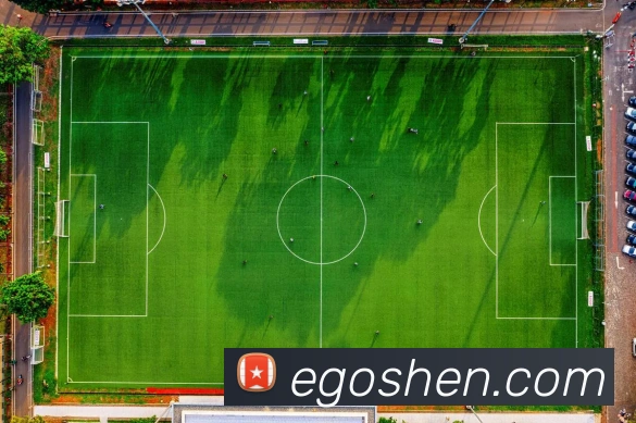 奖项证书